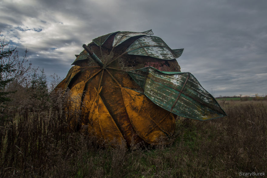 I Found A Large Abandoned Strawberry In Poland I Found A Large Abandoned Strawberry In Poland