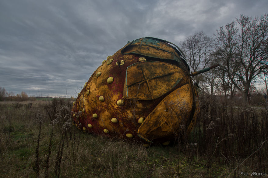 I Found A Large Abandoned Strawberry In Poland I Found A Large Abandoned Strawberry In Poland