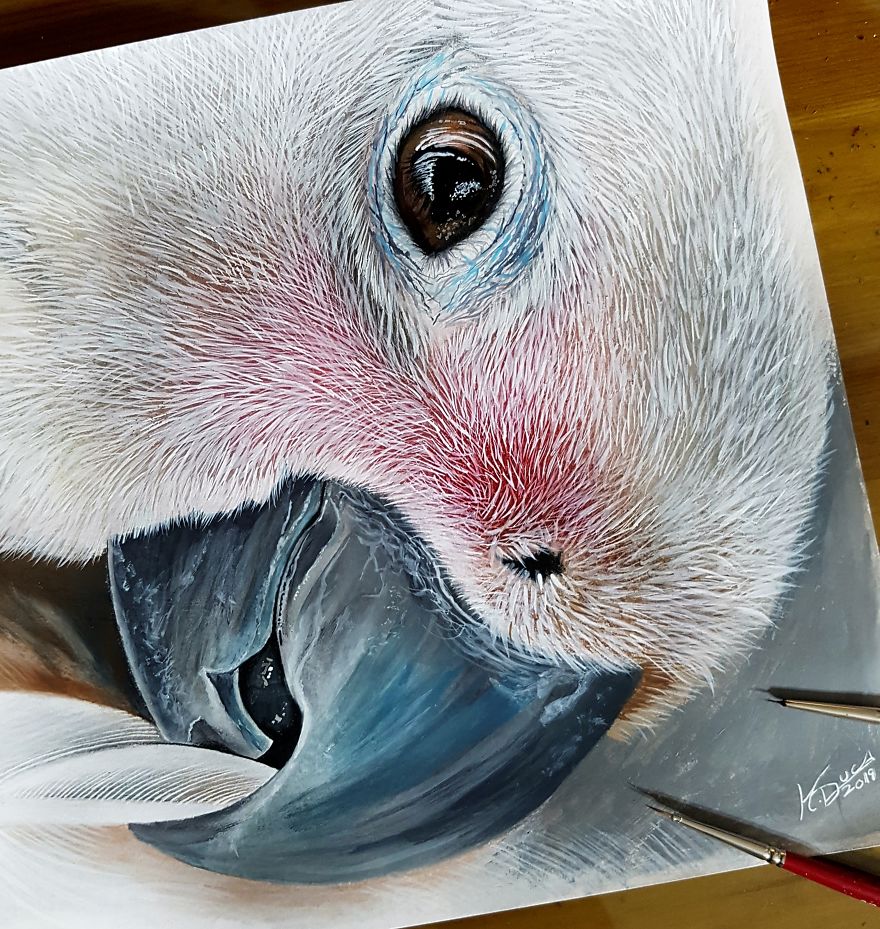 I Create These Realistic Acrylic Paintings (10 Pics) I Create These Realistic Acrylic Paintings (10 Pics)