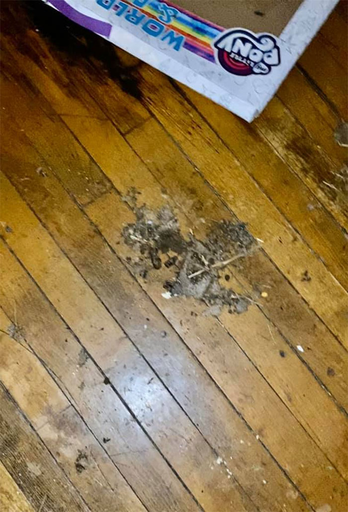 People Wonder Why Rents And Security Deposits Are So High, So This Landlord Shares Some Pics People Wonder Why Rents And Security Deposits Are So High, So This Landlord Shares Some Pics