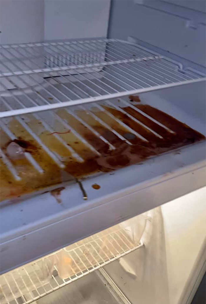 People Wonder Why Rents And Security Deposits Are So High, So This Landlord Shares Some Pics People Wonder Why Rents And Security Deposits Are So High, So This Landlord Shares Some Pics