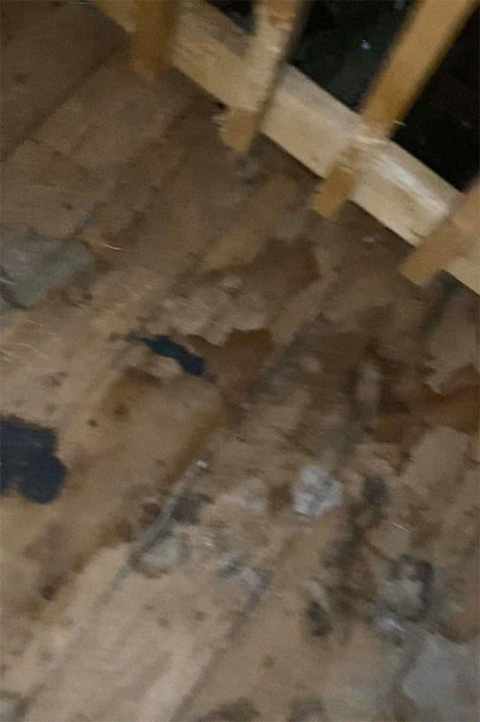 People Wonder Why Rents And Security Deposits Are So High, So This Landlord Shares Some Pics People Wonder Why Rents And Security Deposits Are So High, So This Landlord Shares Some Pics