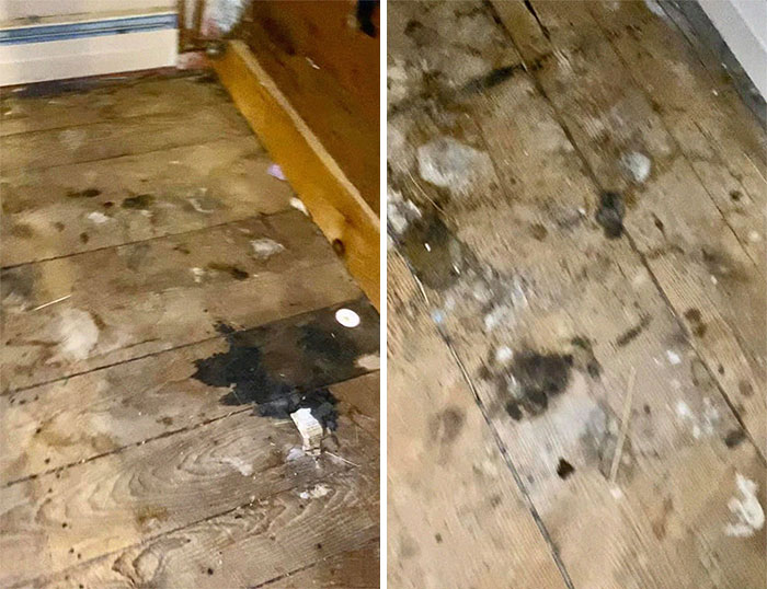 People Wonder Why Rents And Security Deposits Are So High, So This Landlord Shares Some Pics People Wonder Why Rents And Security Deposits Are So High, So This Landlord Shares Some Pics