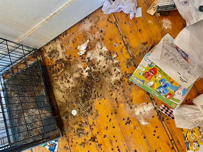 People Wonder Why Rents And Security Deposits Are So High, So This Landlord Shares Some Pics People Wonder Why Rents And Security Deposits Are So High, So This Landlord Shares Some Pics