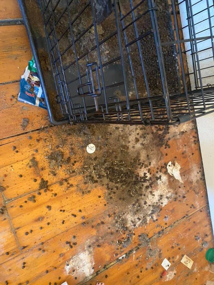 People Wonder Why Rents And Security Deposits Are So High, So This Landlord Shares Some Pics People Wonder Why Rents And Security Deposits Are So High, So This Landlord Shares Some Pics