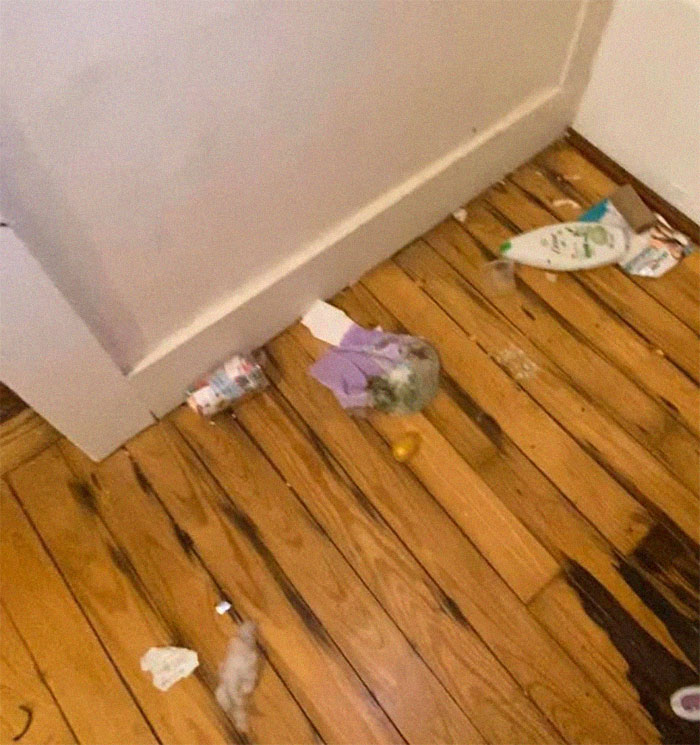 People Wonder Why Rents And Security Deposits Are So High, So This Landlord Shares Some Pics People Wonder Why Rents And Security Deposits Are So High, So This Landlord Shares Some Pics