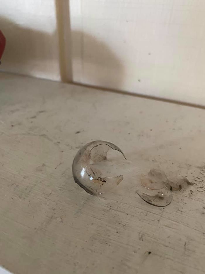 People Wonder Why Rents And Security Deposits Are So High, So This Landlord Shares Some Pics People Wonder Why Rents And Security Deposits Are So High, So This Landlord Shares Some Pics