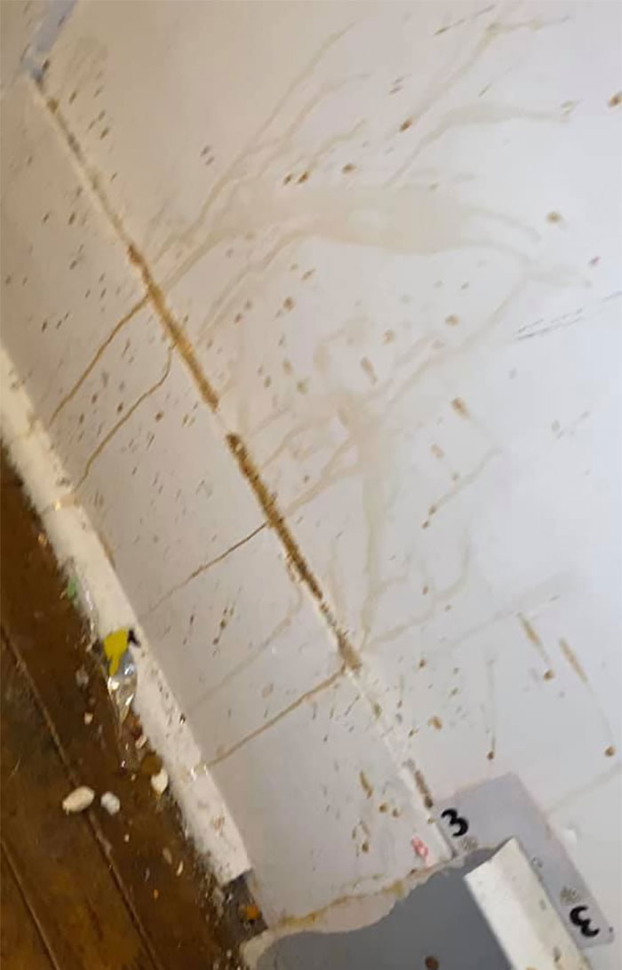 People Wonder Why Rents And Security Deposits Are So High, So This Landlord Shares Some Pics People Wonder Why Rents And Security Deposits Are So High, So This Landlord Shares Some Pics