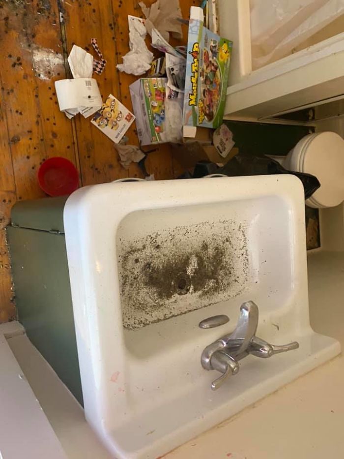 People Wonder Why Rents And Security Deposits Are So High, So This Landlord Shares Some Pics People Wonder Why Rents And Security Deposits Are So High, So This Landlord Shares Some Pics