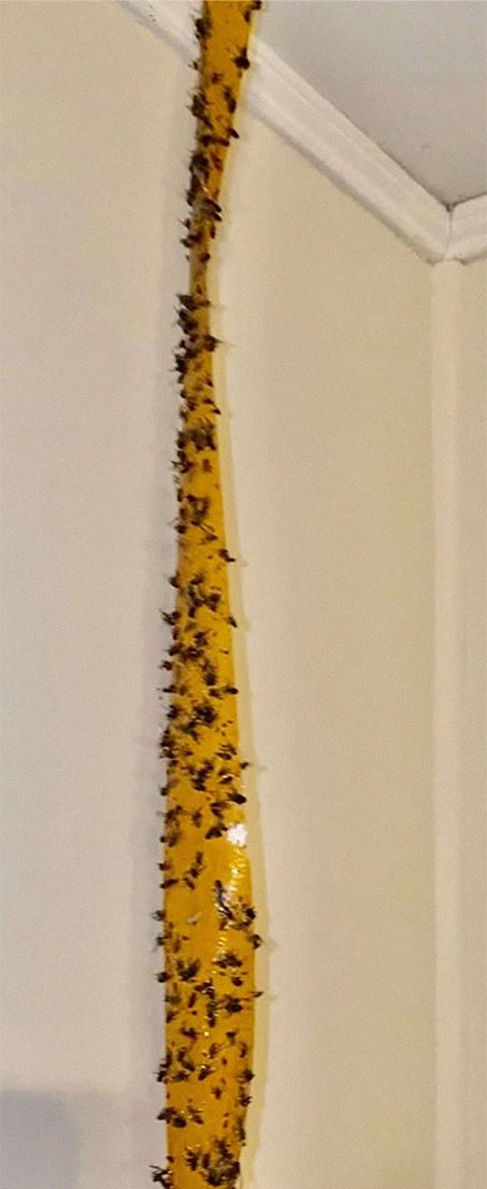 People Wonder Why Rents And Security Deposits Are So High, So This Landlord Shares Some Pics People Wonder Why Rents And Security Deposits Are So High, So This Landlord Shares Some Pics