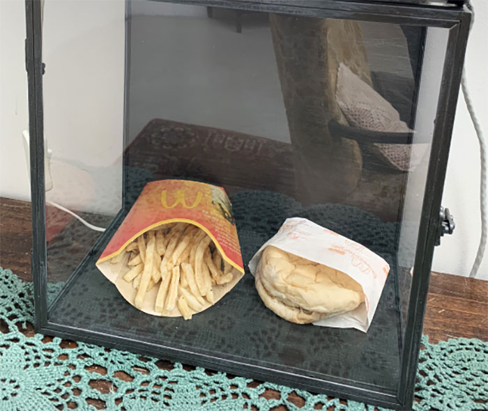 Burger King Releases An Ad Showing How Its New Whopper Will Look In 34 Days Burger King Releases An Ad Showing How Its New Whopper Will Look In 34 Days