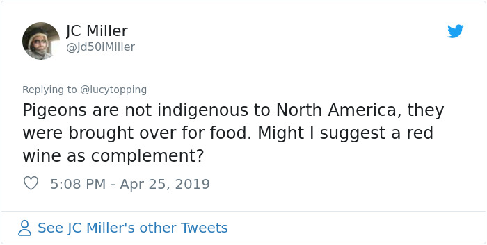 Woman Realizes Two Pigeons Have Been Sitting With Her In The Room For 2 Hours, Shares Everything In Hilarious Tweets