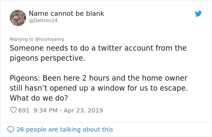 Woman Realizes Two Pigeons Have Been Sitting With Her In The Room For 2 Hours, Shares Everything In Hilarious Tweets