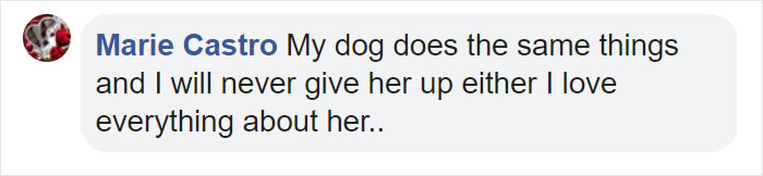 Before Getting A Dog, Make Sure You Read This Guy&#8217;s Honest Post About The Struggles Of Owning One