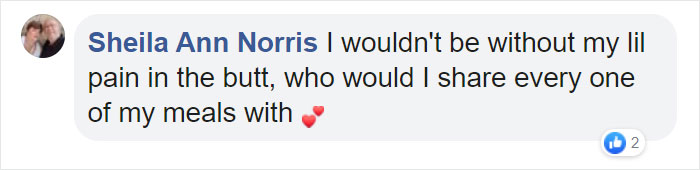 Before Getting A Dog, Make Sure You Read This Guy&#8217;s Honest Post About The Struggles Of Owning One