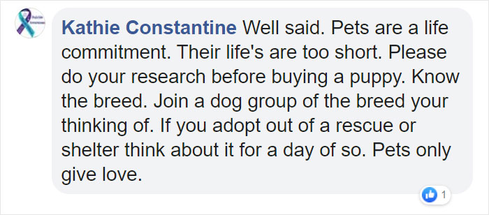 Before Getting A Dog, Make Sure You Read This Guy&#8217;s Honest Post About The Struggles Of Owning One