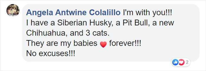 Before Getting A Dog, Make Sure You Read This Guy&#8217;s Honest Post About The Struggles Of Owning One