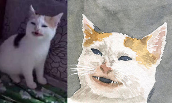 I Made Some Meme Cats Watercolors Because I Love Them I Made Some Meme Cats Watercolors Because I Love Them