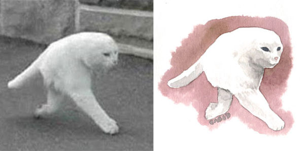 I Made Some Meme Cats Watercolors Because I Love Them I Made Some Meme Cats Watercolors Because I Love Them