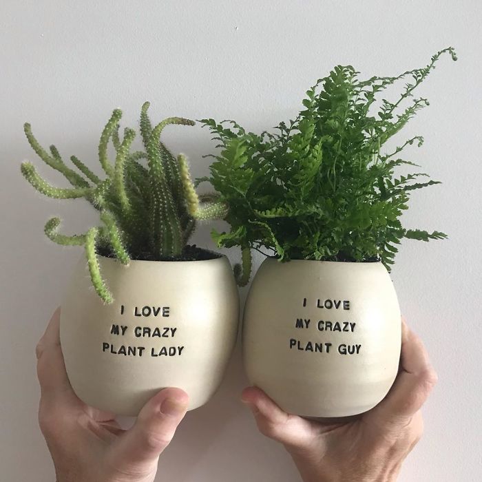 I Make Ceramic Planters With Sassy Botanical Puns (18 Pics) I Make Ceramic Planters With Sassy Botanical Puns (18 Pics)