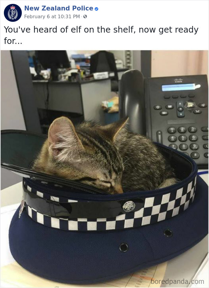 The New Zealand Police Is Winning Over The Internet With Their Adorable And Funny Posts (30 Pics) The New Zealand Police Is Winning Over The Internet With Their Adorable And Funny Posts (30 Pics)
