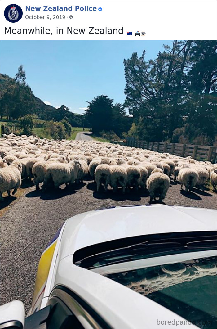 The New Zealand Police Is Winning Over The Internet With Their Adorable And Funny Posts (30 Pics) The New Zealand Police Is Winning Over The Internet With Their Adorable And Funny Posts (30 Pics)