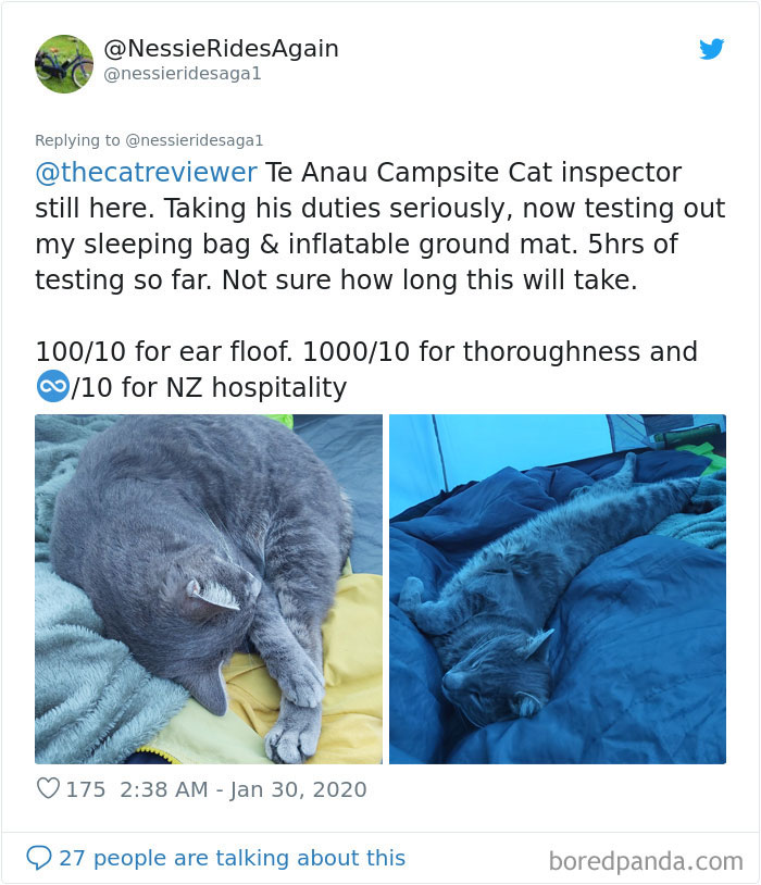 Twitter Account Encourages People To Rate The Cats They Meet On The Streets And It’s Purrfect (30 Pics) Twitter Account Encourages People To Rate The Cats They Meet On The Streets And It’s Purrfect (30 Pics)