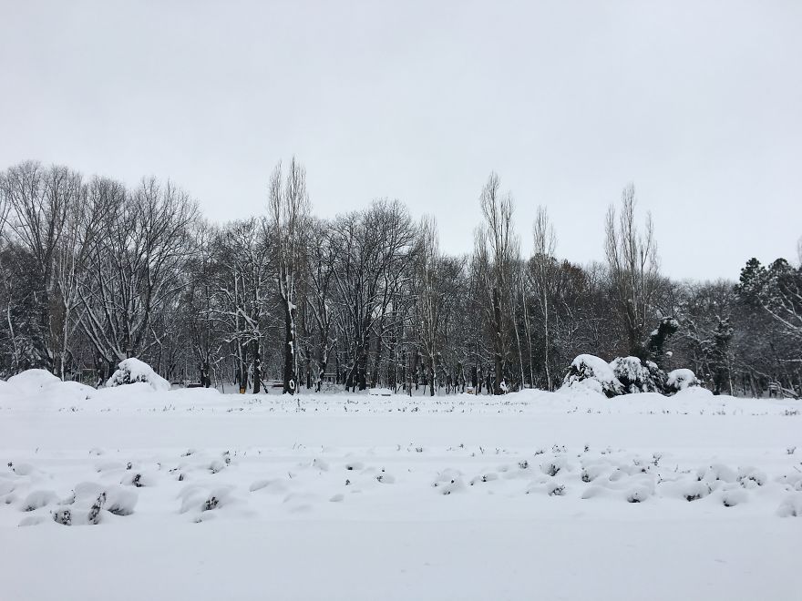I Captured Bucharest Under Snow (30 Pics) I Captured Bucharest Under Snow (30 Pics)