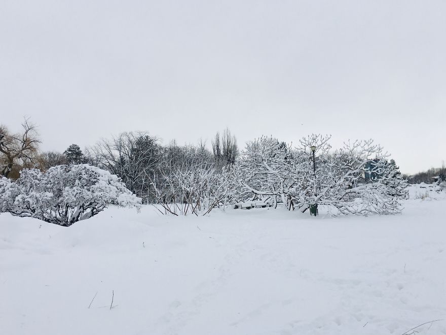 I Captured Bucharest Under Snow (30 Pics) I Captured Bucharest Under Snow (30 Pics)