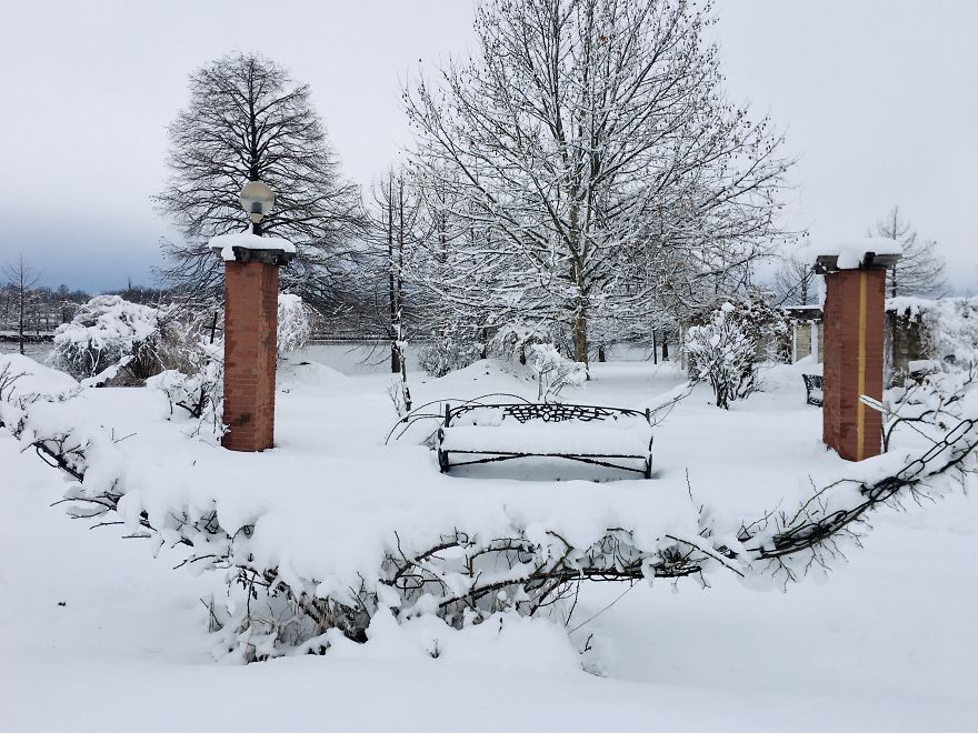 I Captured Bucharest Under Snow (30 Pics) I Captured Bucharest Under Snow (30 Pics)