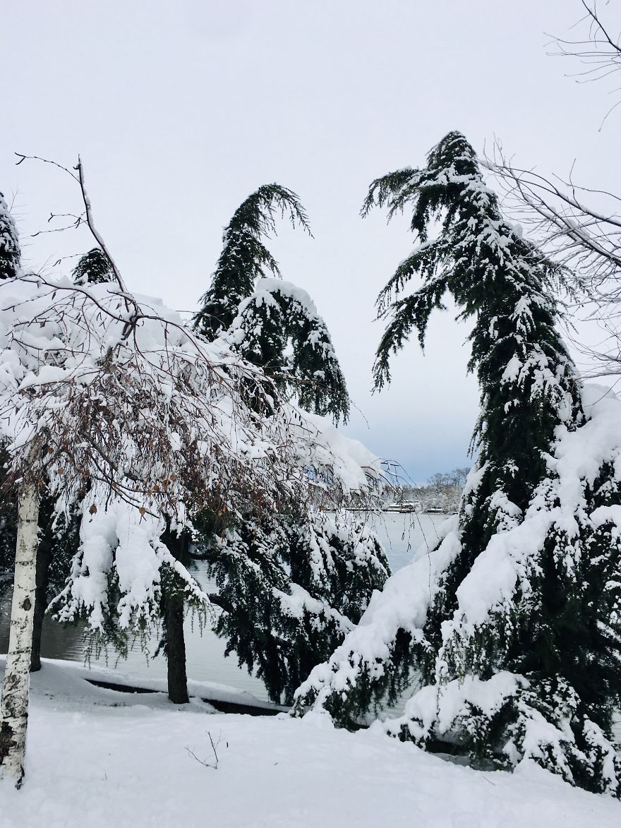 I Captured Bucharest Under Snow (30 Pics) I Captured Bucharest Under Snow (30 Pics)
