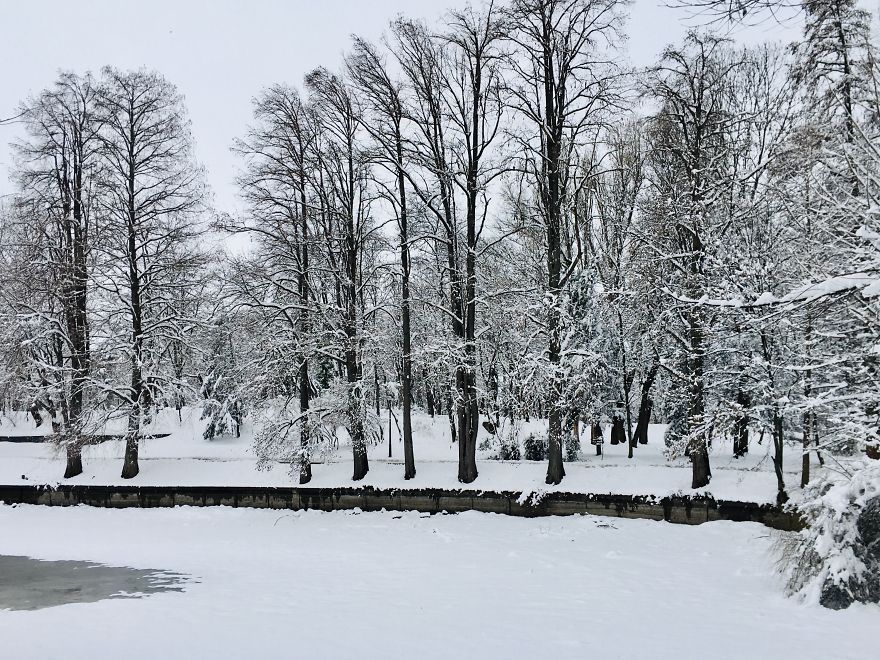 I Captured Bucharest Under Snow (30 Pics) I Captured Bucharest Under Snow (30 Pics)