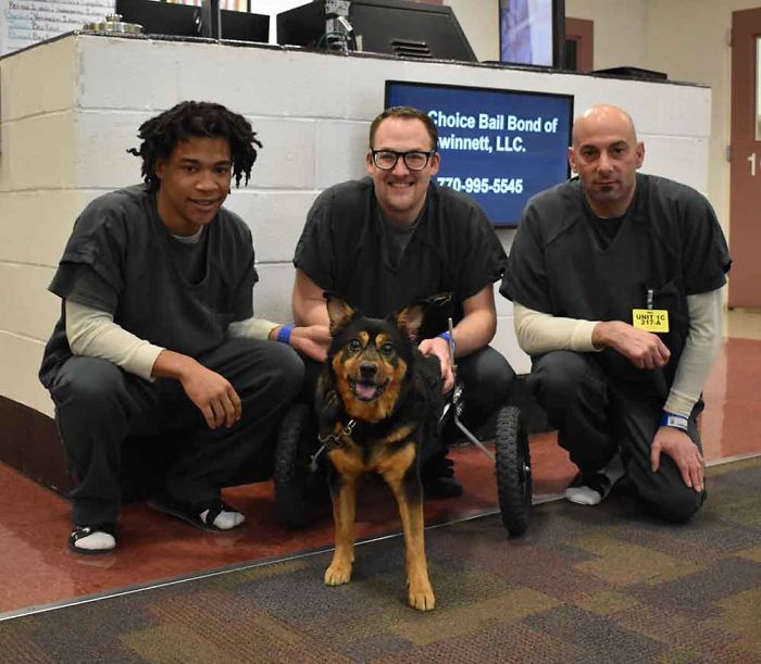 Special Needs Dog Returned 4 Times Is Finally Adopted By Someone Who Totally Gets Him