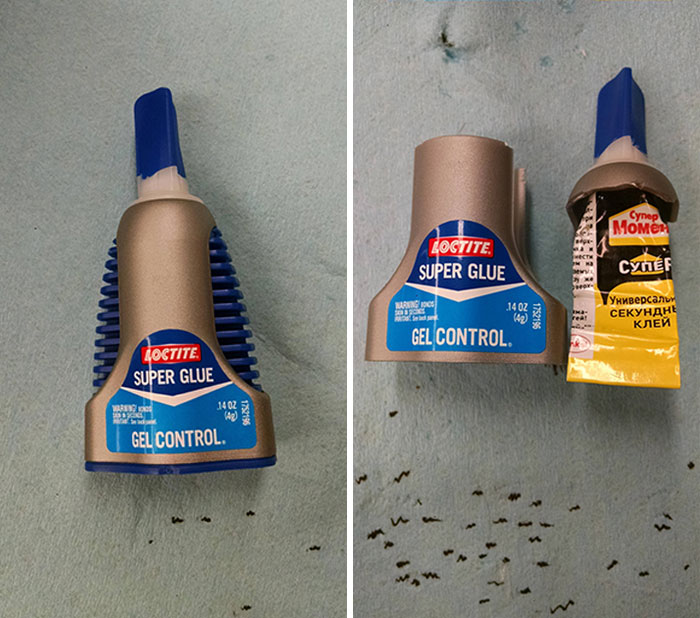 30 Times People Broke Or Opened Things And Were Surprised By What They Found Inside 30 Times People Broke Or Opened Things And Were Surprised By What They Found Inside