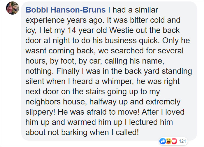 Dog Goes Missing One Evening, Turns Out He Got Stuck In His Own Poop And Wouldn’t Move Or Speak Dog Goes Missing One Evening, Turns Out He Got Stuck In His Own Poop And Wouldn’t Move Or Speak