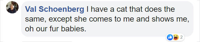 Dog Goes Missing One Evening, Turns Out He Got Stuck In His Own Poop And Wouldn’t Move Or Speak Dog Goes Missing One Evening, Turns Out He Got Stuck In His Own Poop And Wouldn’t Move Or Speak