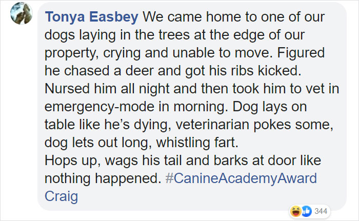 Dog Goes Missing One Evening, Turns Out He Got Stuck In His Own Poop And Wouldn’t Move Or Speak Dog Goes Missing One Evening, Turns Out He Got Stuck In His Own Poop And Wouldn’t Move Or Speak