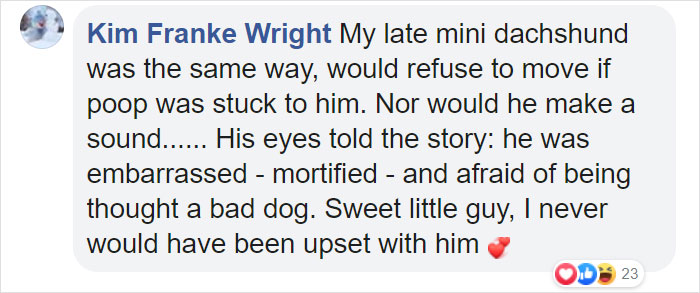 Dog Goes Missing One Evening, Turns Out He Got Stuck In His Own Poop And Wouldn’t Move Or Speak Dog Goes Missing One Evening, Turns Out He Got Stuck In His Own Poop And Wouldn’t Move Or Speak