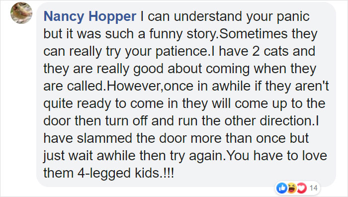 Dog Goes Missing One Evening, Turns Out He Got Stuck In His Own Poop And Wouldn’t Move Or Speak Dog Goes Missing One Evening, Turns Out He Got Stuck In His Own Poop And Wouldn’t Move Or Speak