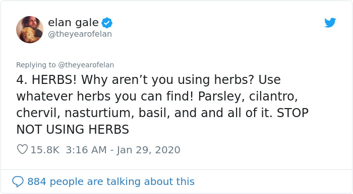 This Guy Points Out Why Your Salad Tastes Dull And Flavorless And Explains How To Make It Taste Delicious This Guy Points Out Why Your Salad Tastes Dull And Flavorless And Explains How To Make It Taste Delicious