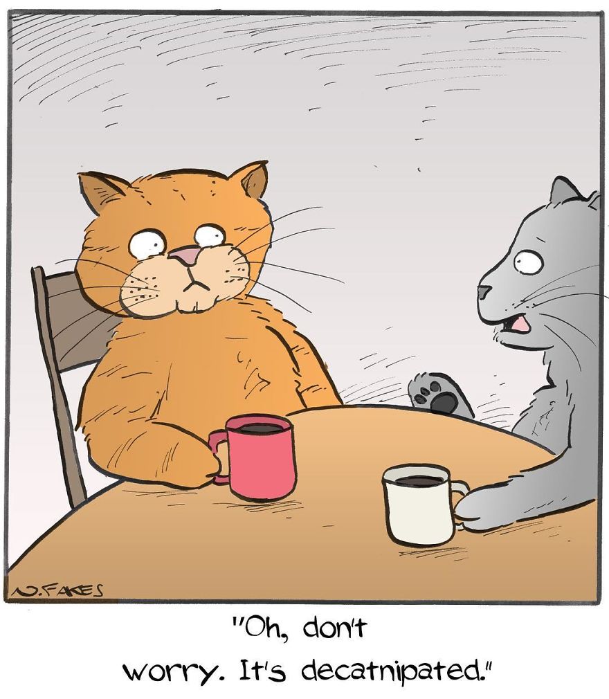 35 Comics That Cat Owners Will Relate To, Inspired By My Cat 35 Comics That Cat Owners Will Relate To, Inspired By My Cat