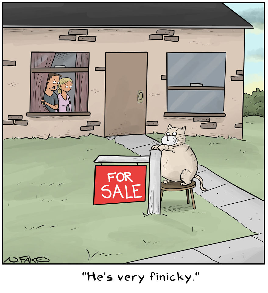 35 Comics That Cat Owners Will Relate To, Inspired By My Cat 35 Comics That Cat Owners Will Relate To, Inspired By My Cat