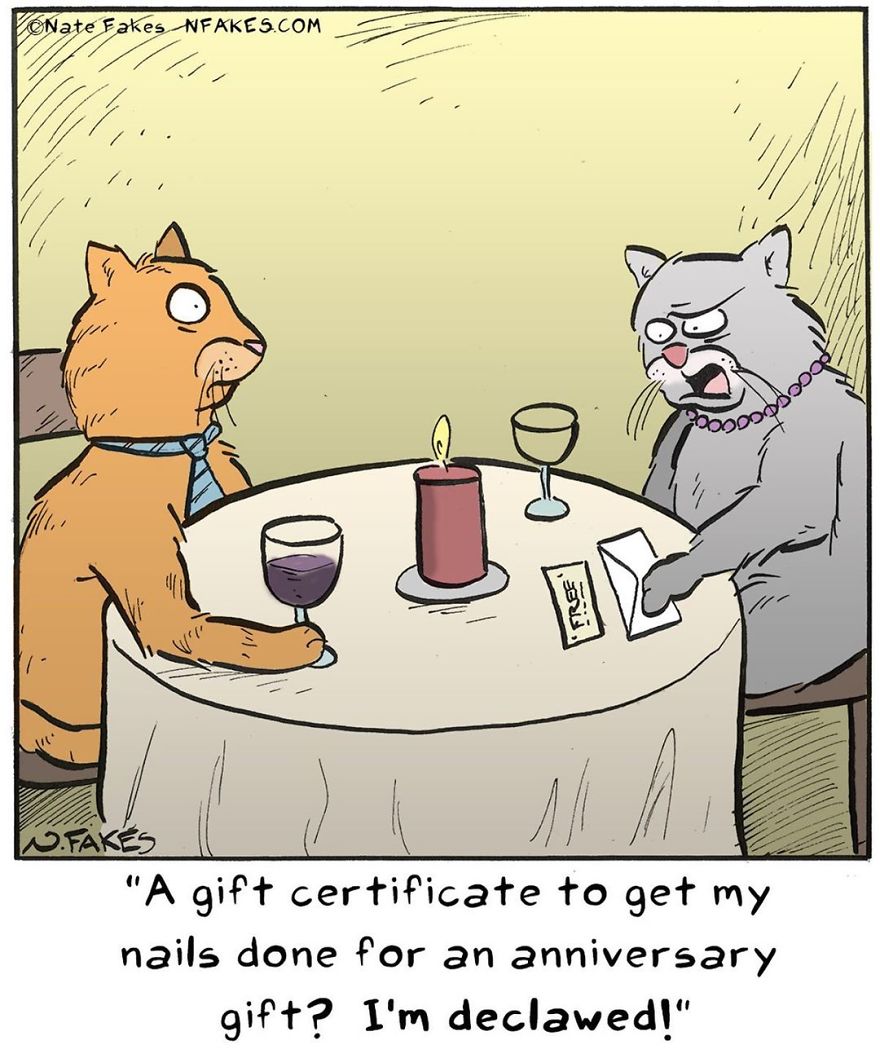 35 Comics That Cat Owners Will Relate To, Inspired By My Cat 35 Comics That Cat Owners Will Relate To, Inspired By My Cat