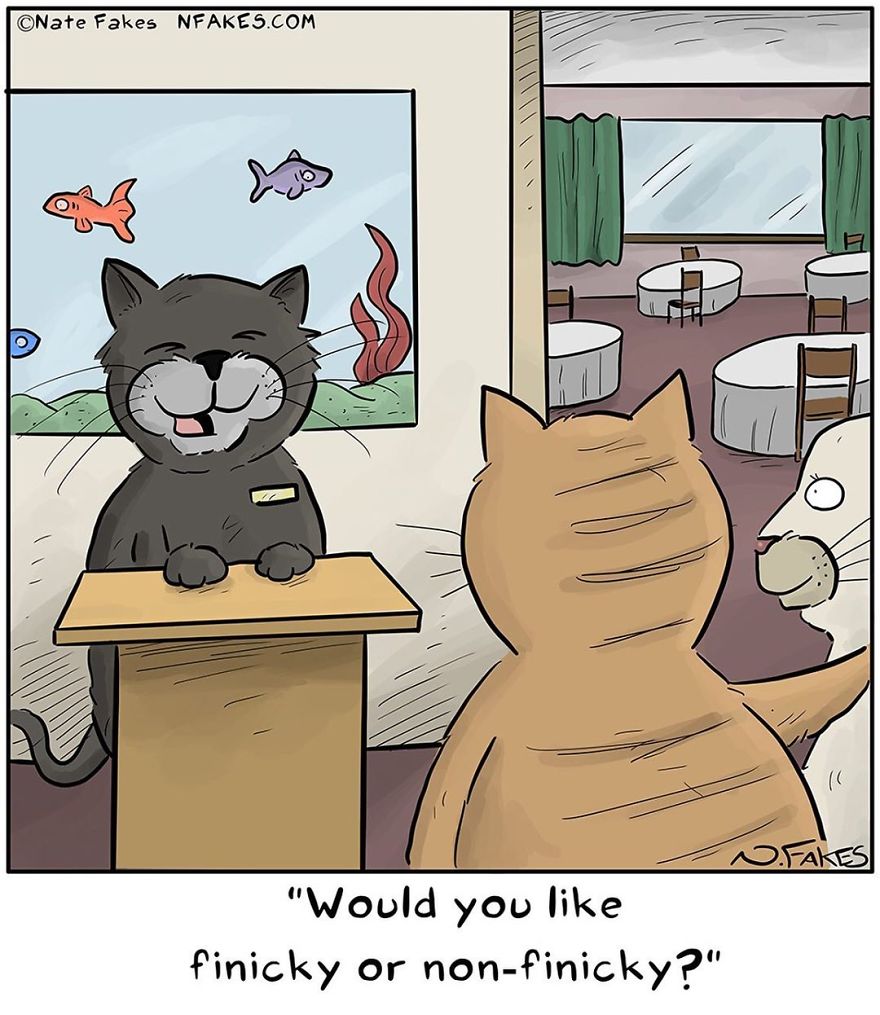 35 Comics That Cat Owners Will Relate To, Inspired By My Cat 35 Comics That Cat Owners Will Relate To, Inspired By My Cat