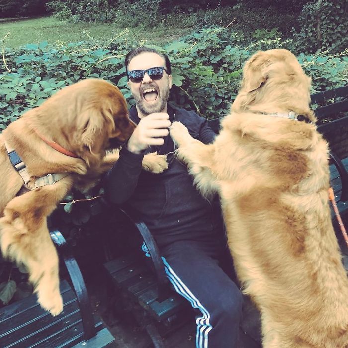 Someone Asks Ricky Gervais For His Opinion On The Oscars, The Comedian Doesn’t Hold Back And Roasts Celebs Once Again Someone Asks Ricky Gervais For His Opinion On The Oscars, The Comedian Doesn’t Hold Back And Roasts Celebs Once Again