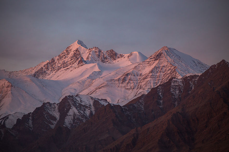 Why Cashmere Is So Expensive