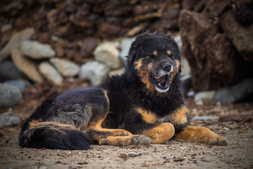 Why Cashmere Is So Expensive