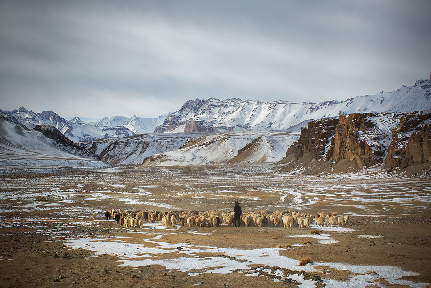 Why Cashmere Is So Expensive