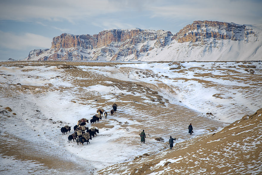 Why Cashmere Is So Expensive