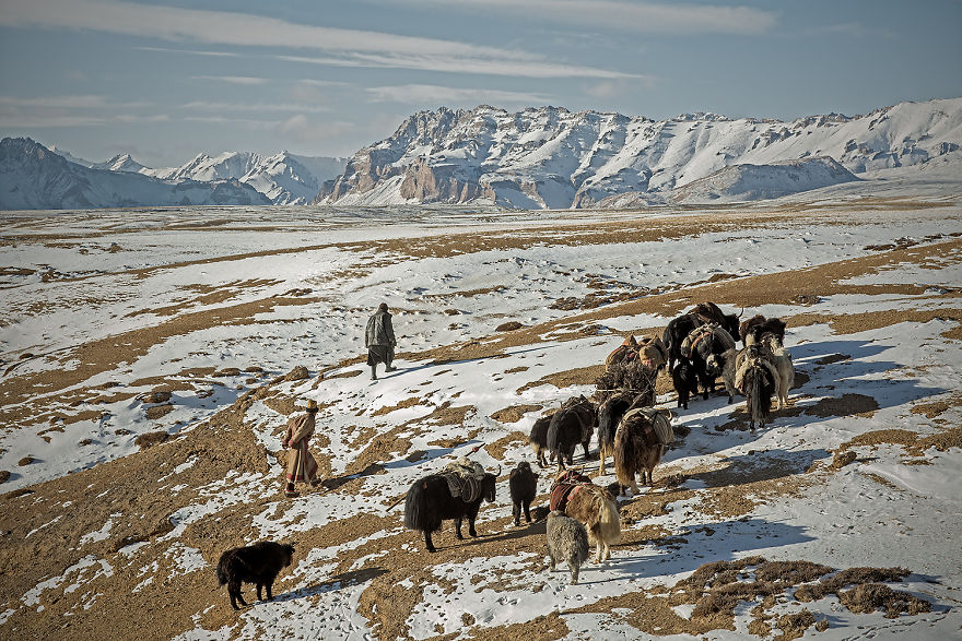 Why Cashmere Is So Expensive